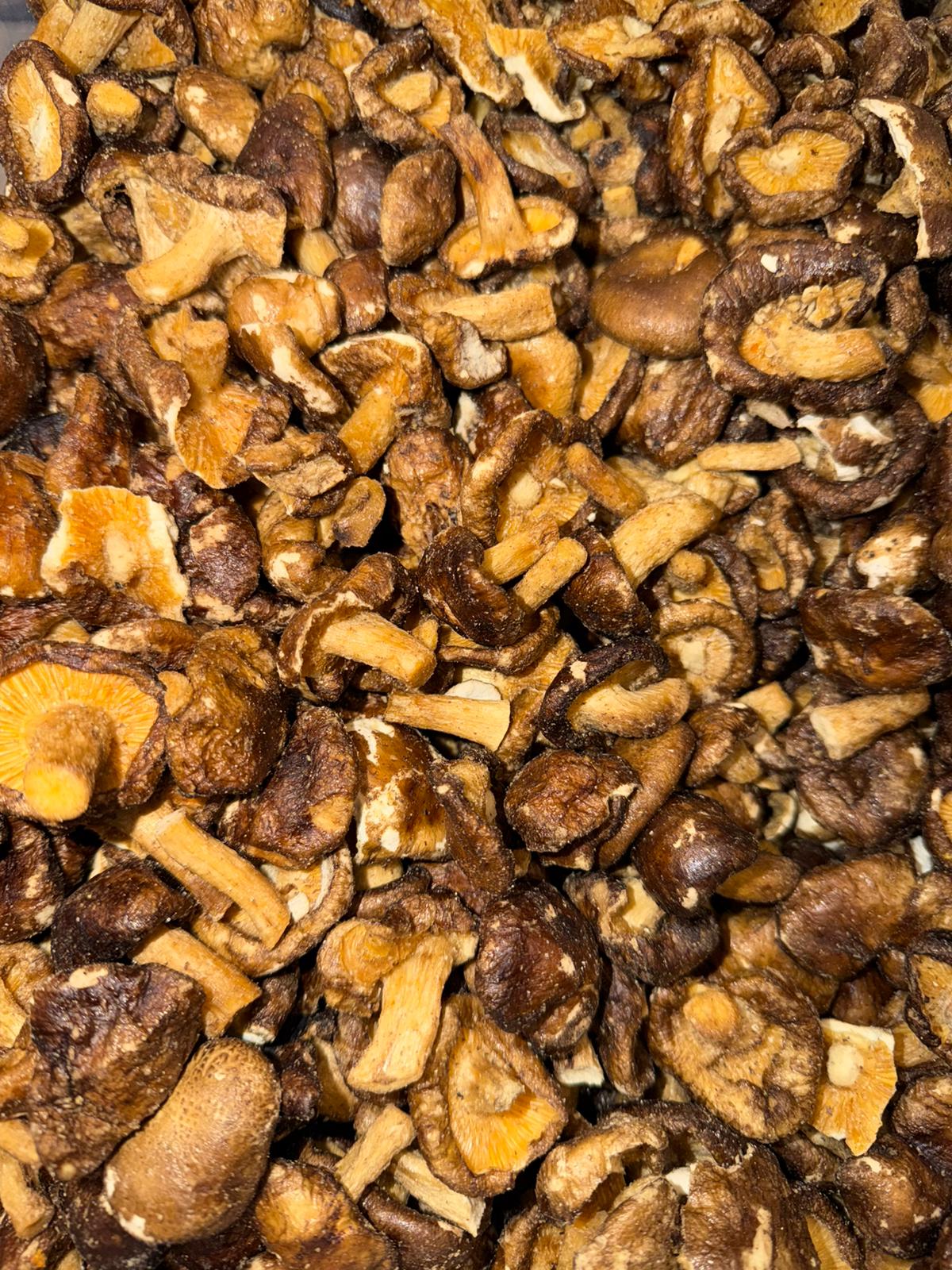 Funghi Shiitake chips