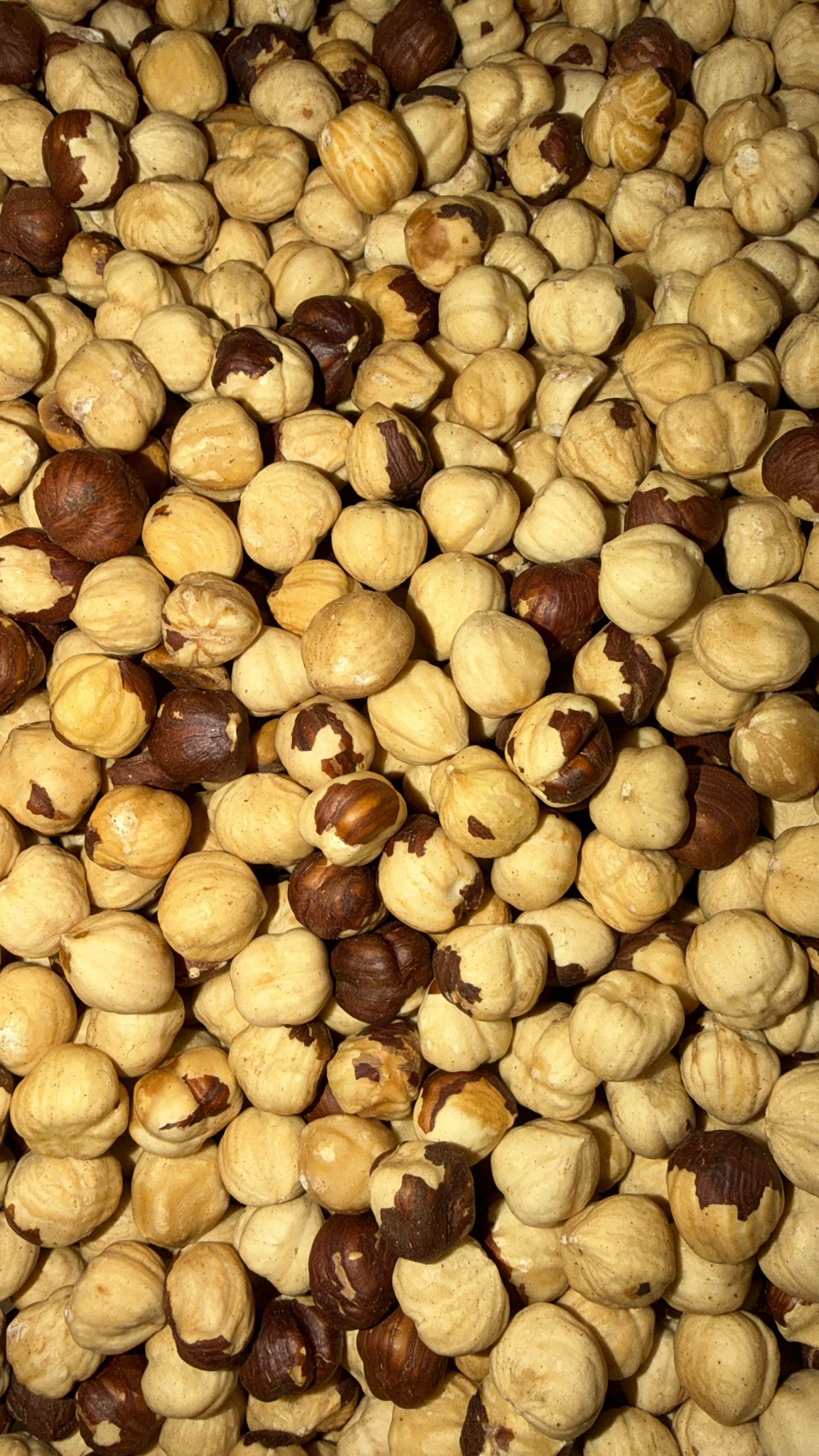 Nocciole sgusciate tostate