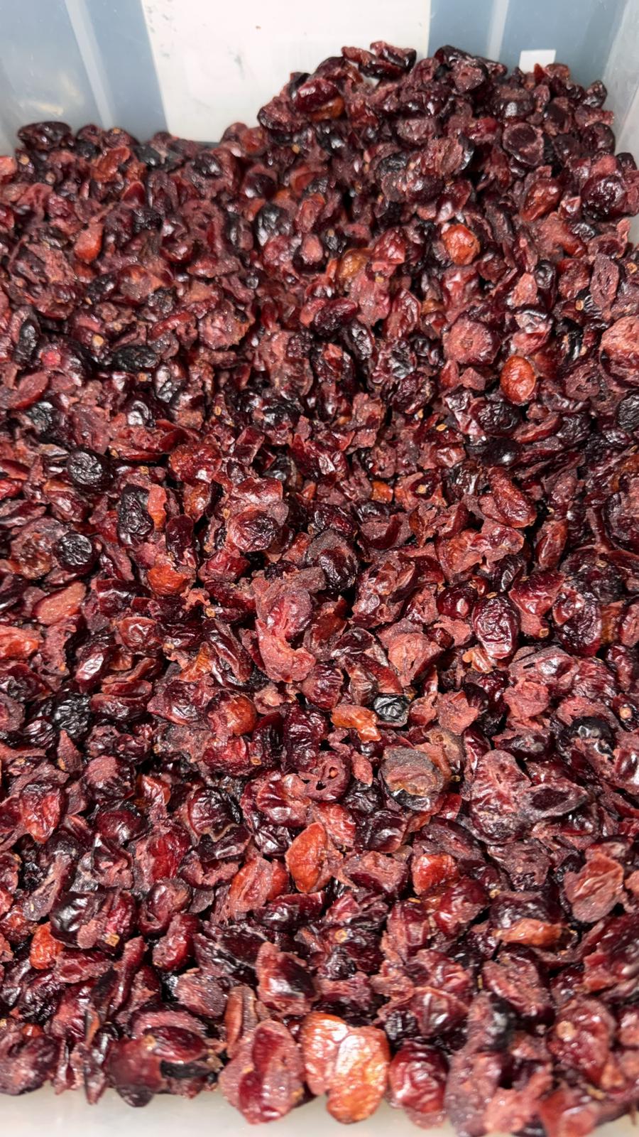 Mirtilli Rossi disidratati