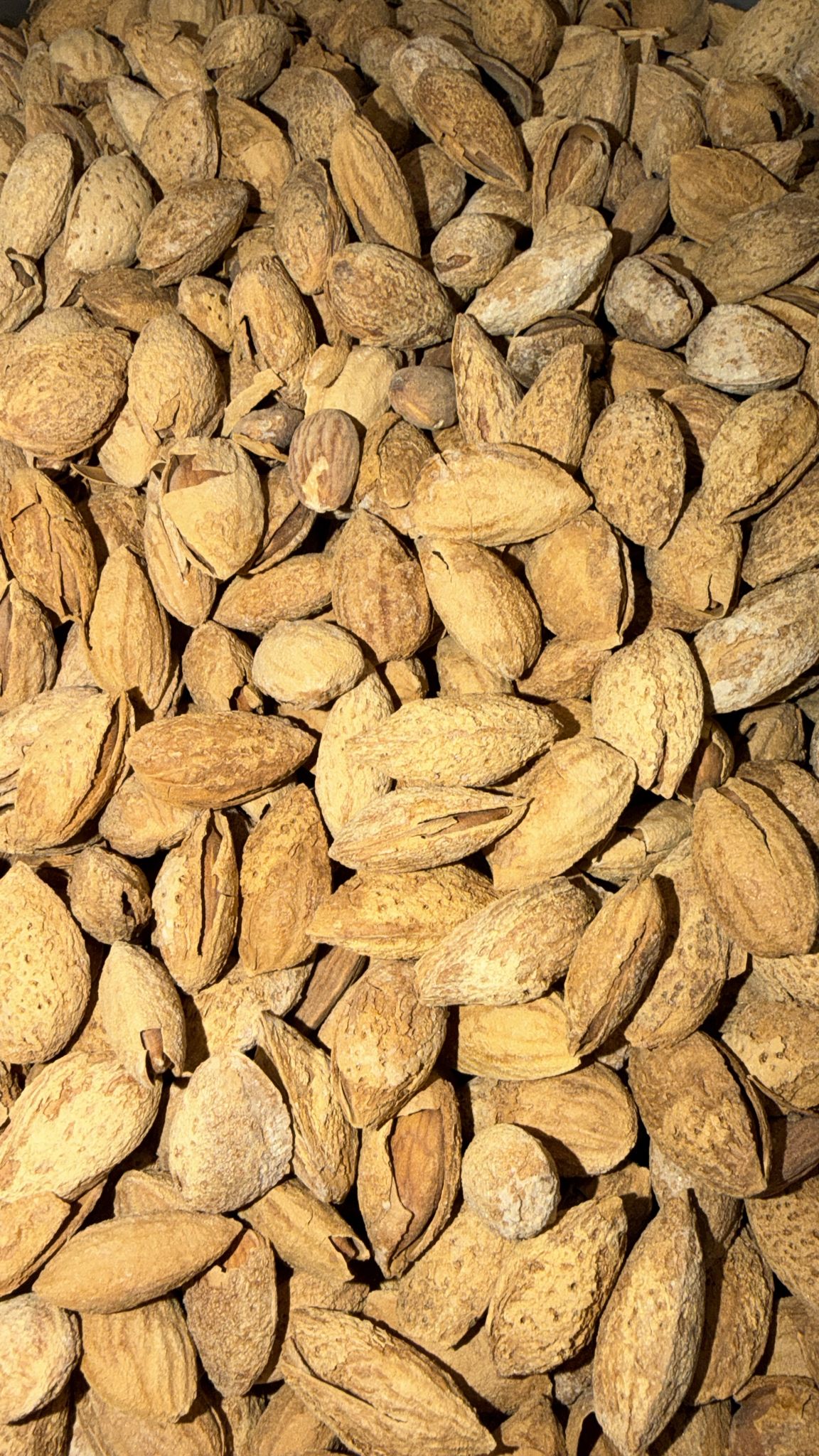 Mandorle tostate e salate