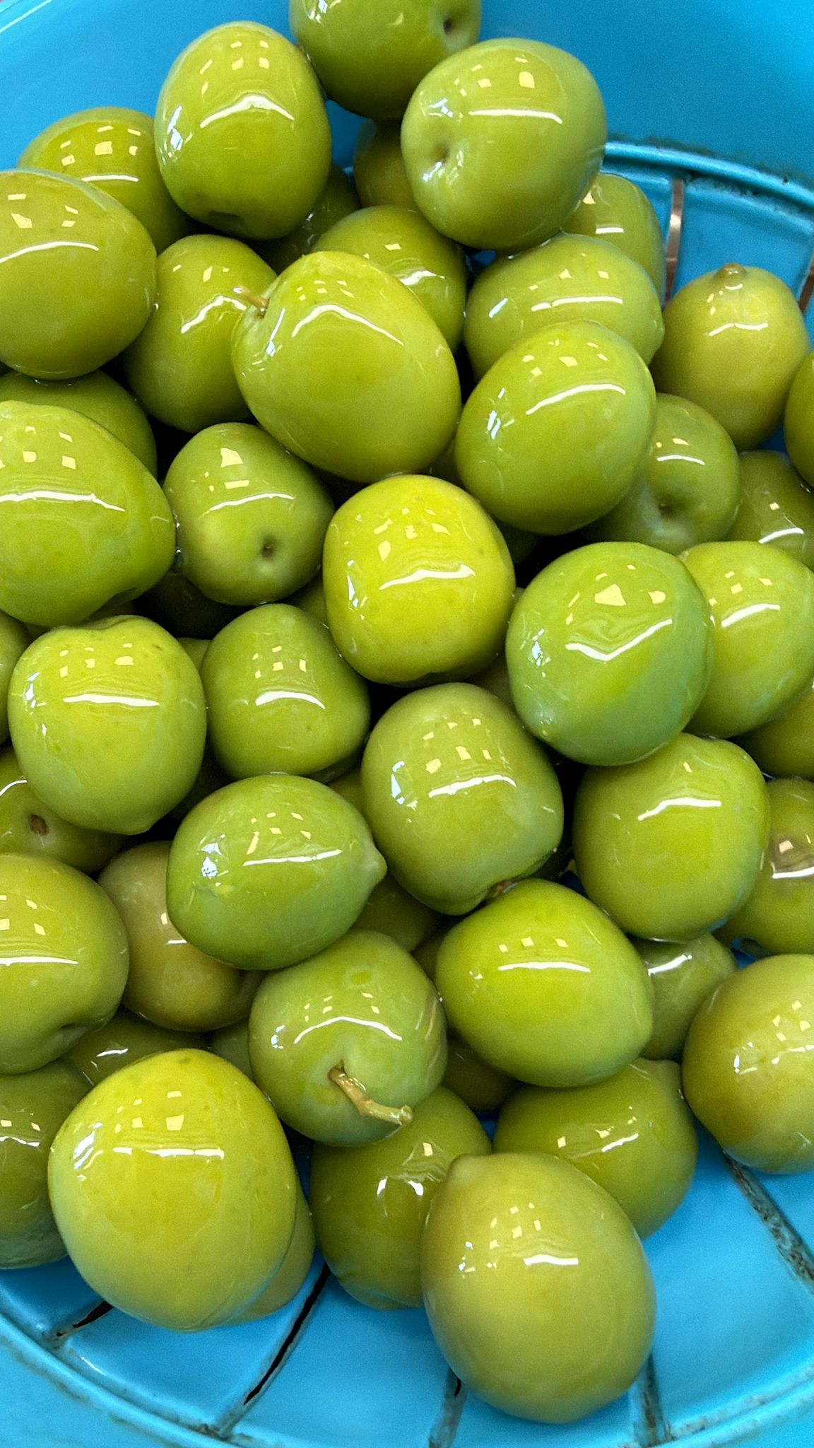 Olive tonde Sicilia